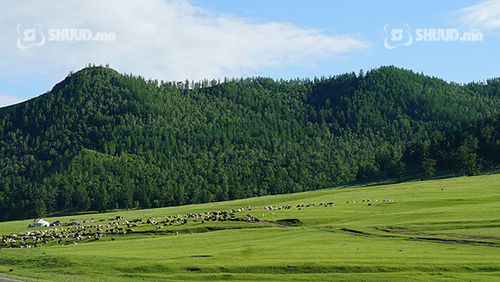 Хөл хориод яахав ээ, хүмүүст хөдөө гарах боломж олгочих